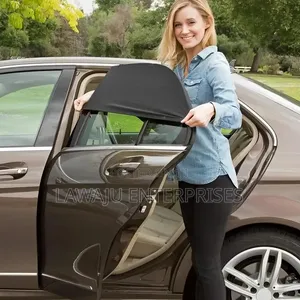 Car Window Sunshade Mesh (Pair)