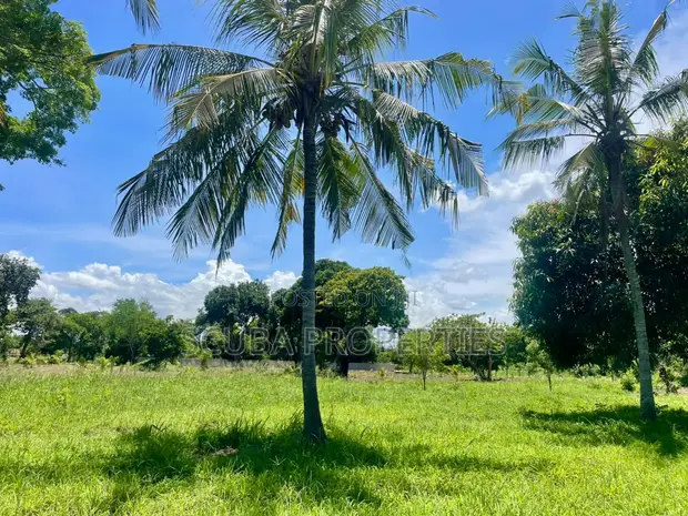 Prime 1.5 Acre Plot for Sale in Mtwapa - 1