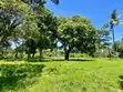 Prime 1.5 Acre Plot for Sale in Mtwapa - 4