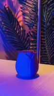 Rose Shaped Clit & Nipple Massager - 1
