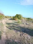 7 Acres Beachfront Land for Sale in Malindi - 3