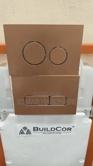 Premier Gold Concealed Pressing Button