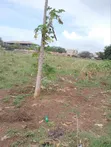 Malindi Town 2 Acres Prime Commercial Land - 5