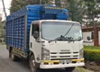 Isuzu ELF Truck 2013 Blue - 3