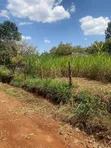 Land for Sale: 50x100 Plot at Kenyatta Road, Juja - 1
