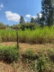 Land for Sale: 50x100 Plot at Kenyatta Road, Juja - 2