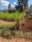 Land for Sale: 50x100 Plot at Kenyatta Road, Juja - 3