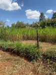 Land for Sale: 50x100 Plot at Kenyatta Road, Juja - 5