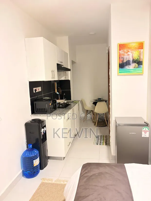 Furnished 1-Bedroom Bedsitter at Luxore Apartments, Gateway Mall Area - 1