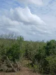 90 Acres for Sale in Malindi Fundisa - 3