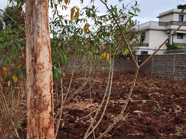 1/8 Acre Residential Plot in Ngoigwa, Thika - 1