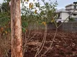 1/8 Acre Residential Plot in Ngoigwa, Thika - 1