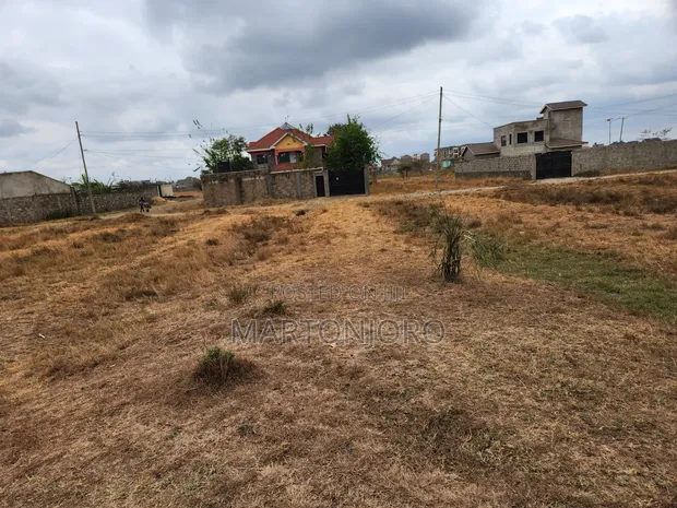Ngoingwa 100 by 100 Acre Plot - 1