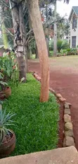 4 Bedroom Maisonette for Rent in Silver Garden, Thindigua/Kasarini - 4