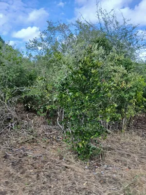 19 Acres for Sale in Malindi Boreshingwaya