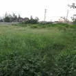 Kitalu cha Makazi cha Nusu Eka Barabara ya Ndege, Karen - 2