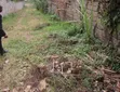 Mua Hills 5 Acres Land with Nairobi View - 1