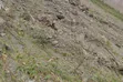 Mua Hills 5 Acres Land with Nairobi View - 2