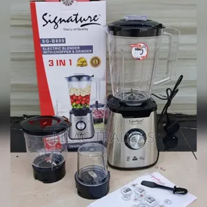 Signature 3-in-1 Electric Blender