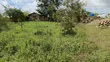 Plot for Sale - 50x100 in Mariakani - 2