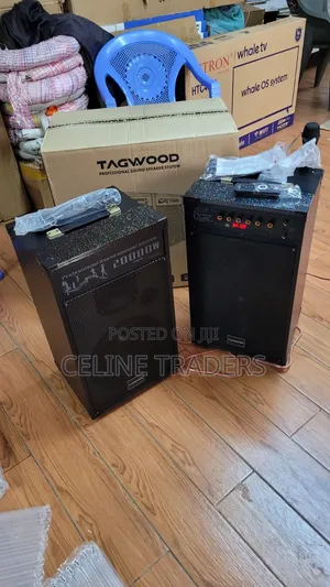 Tagwood 10D Wired Microphones (Pair)