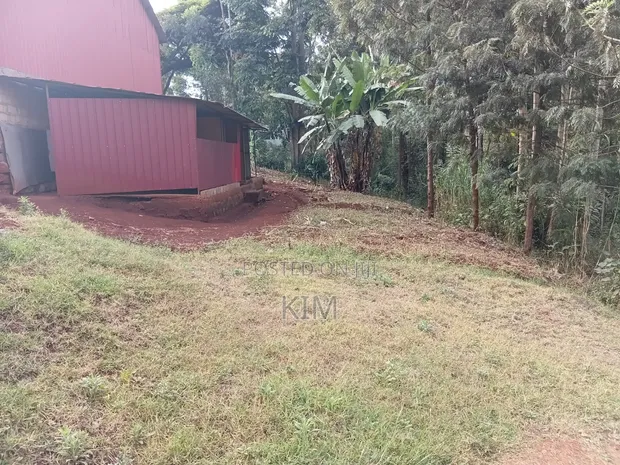 100x100 Plot for Sale in Ruaka - 1