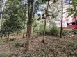 100x100 Plot for Sale in Ruaka - 2