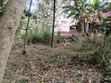 100x100 Plot for Sale in Ruaka - 3