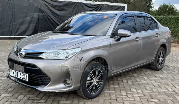 Toyota Axio 2019 Gray - 1
