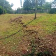 Prime Location Land 1/4 Acre in Kabete, Ndubuini - 1