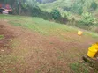 Prime Location Land 1/4 Acre in Kabete, Ndubuini - 2