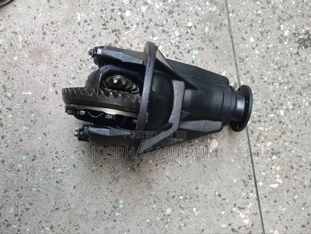 Toyota Land Cruiser Rear Differential (70 Series) - 1