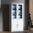 Gray Half Glass Filling Cabinet - 5