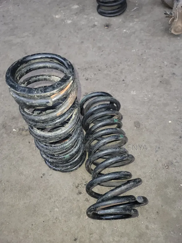 Mazda Axela 2019 Heavy Duty Coil Springs - 1