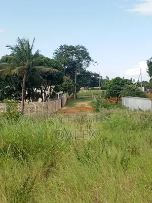 40x110 Plot for Sale with Title Deed in Majaoni Utange