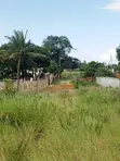40x110 Plot for Sale with Title Deed in Majaoni Utange - 1