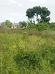 40x110 Plot for Sale with Title Deed in Majaoni Utange - 3