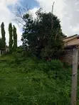 40x110 Plot for Sale with Title Deed in Majaoni, Utange - 3