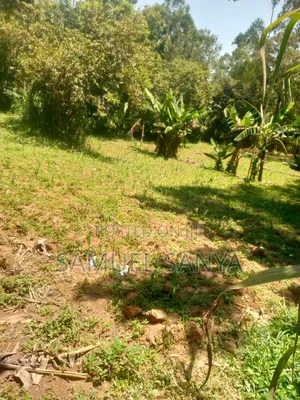Prime 50x100 Plot for Sale in Shikhambi