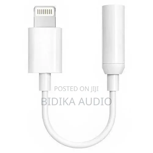 DP Lightning to 3.5mm Audio Adapter - 1