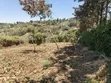 One Acre Residential Land for Sale in Ngong, Olkeri - 2