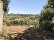 One Acre Residential Land for Sale in Ngong, Olkeri - 5