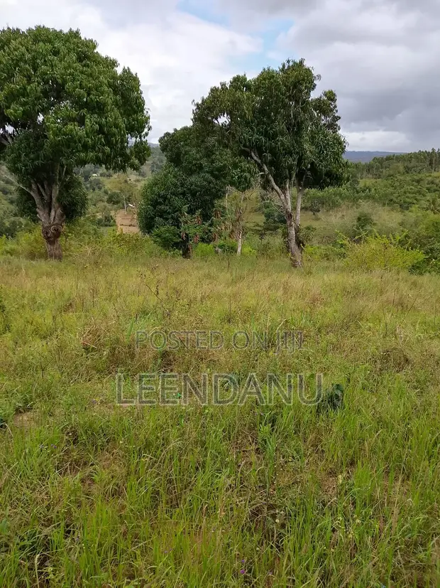 12 Acres Farm Land with Countryside Home for Sale - 1