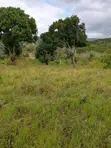 12 Acres Farm Land with Countryside Home for Sale - 1