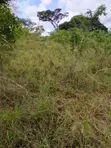 12 Acres Farm Land with Countryside Home for Sale - 2