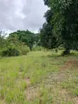 12 Acres Farm Land with Countryside Home for Sale - 3