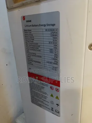 SRNE Lithium Battery 100Ah 24V 2.56kWh