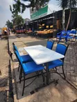 Restaurant Chairs - Brand New - 3