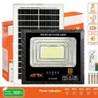 Best Solar Floodlight Security Yard Light - 2