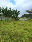 Kerarapon Ngong 10 Acres for Town Houses, Villa, School, Hotel - 1
